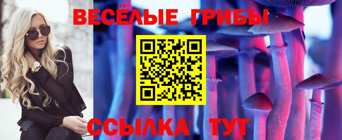 Псилоцибиновые грибы GOLDEN TEACHER  Вход с VPN  Тихвин  Псилоцибиновые грибы мухоморы 