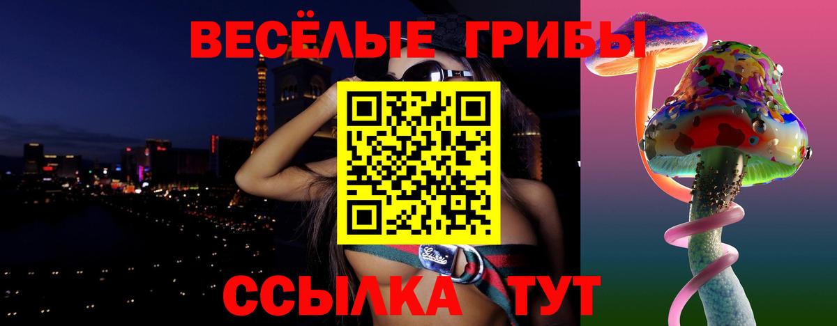 Псилоцибиновые грибы Psilocybe Тихвин